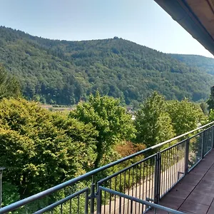 Zum Neckartal Heidelberg